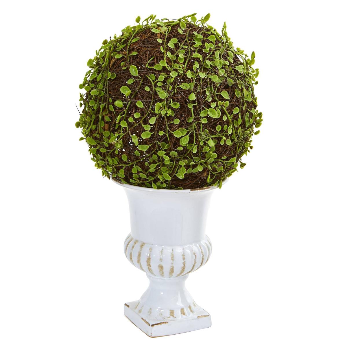 18 Mohlenbechia Ball Topiary in White Urn