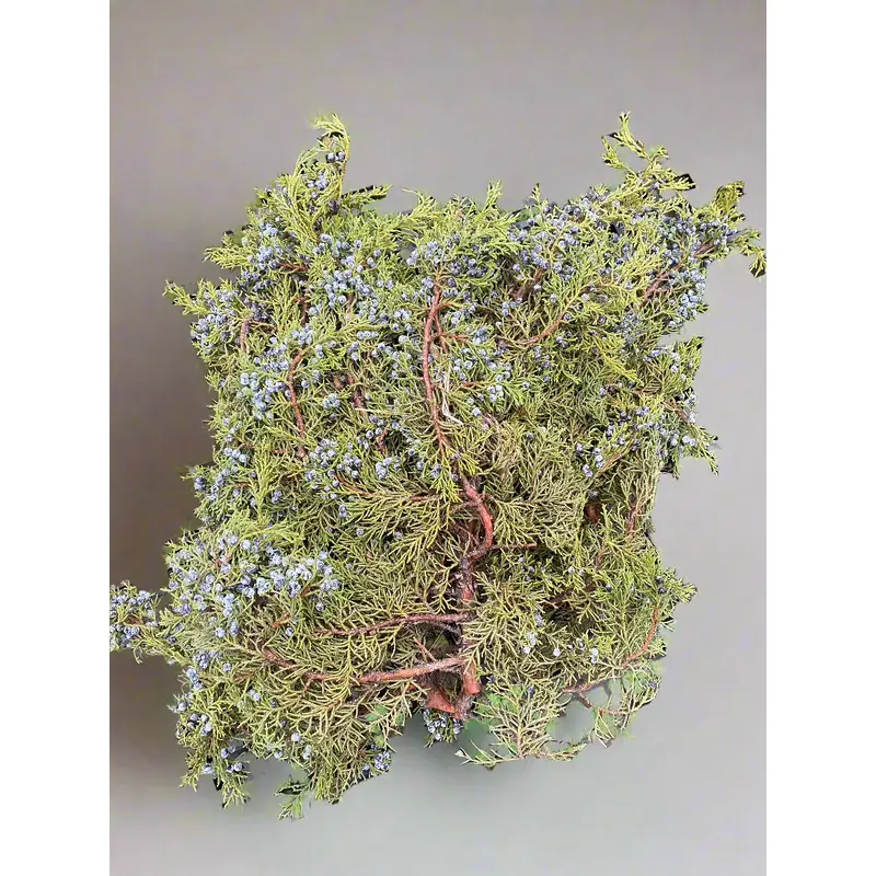 Berried Juniper Bough