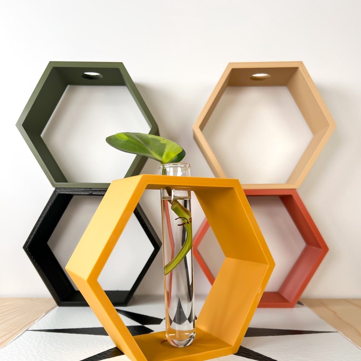 Hexagon Propagation Station RainbowStandTube