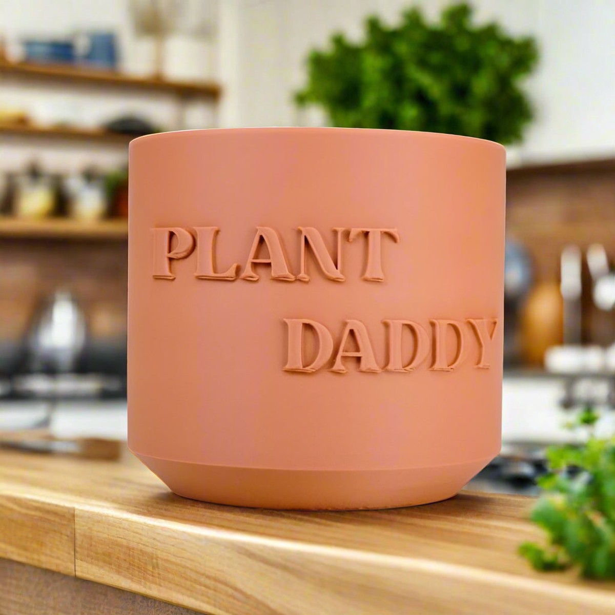 Plant Daddy Planter 7BlackWithoutDripTray