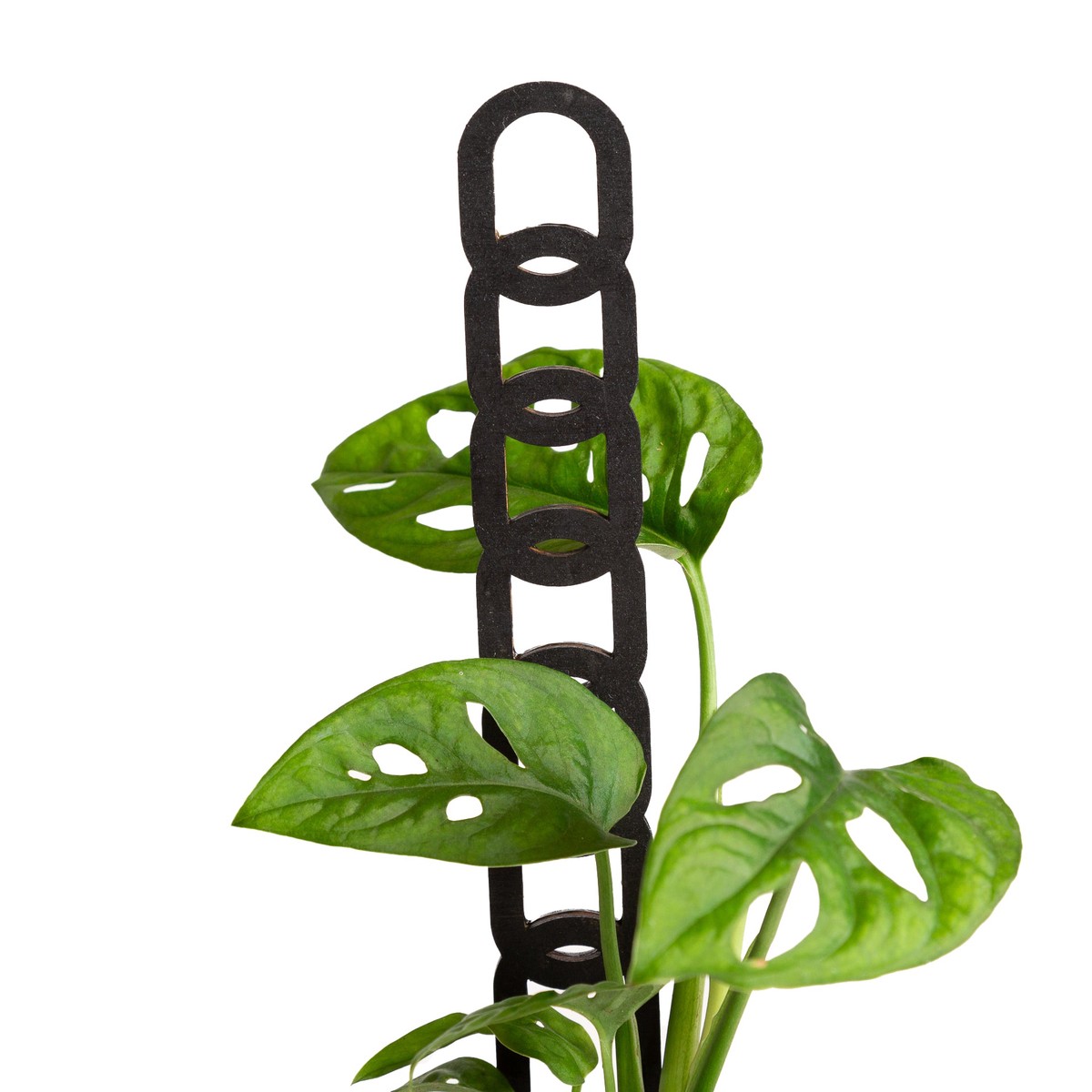 11 Wide Hexagon Chain Link Trellis Walnut