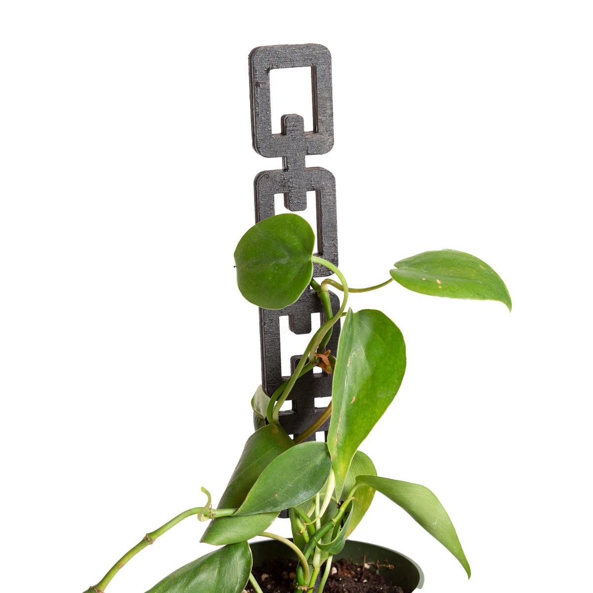 11 Rectangle Chain Link Trellis Black